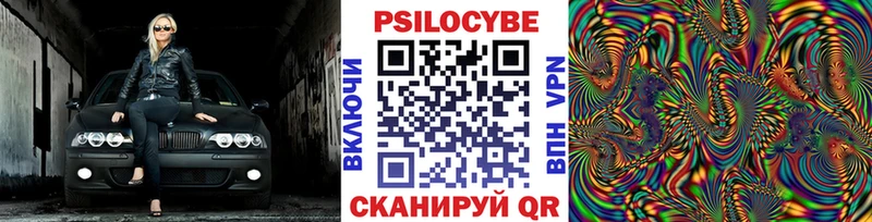 Купить  Руза  Псилоцибиновые грибы GOLDEN TEACHER 